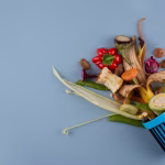 Why Eco-Conscious Waste Disposal Matters for the Future of Our Planet