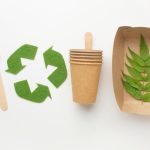 Top 10 Recyclable Materials Most People Throw Away